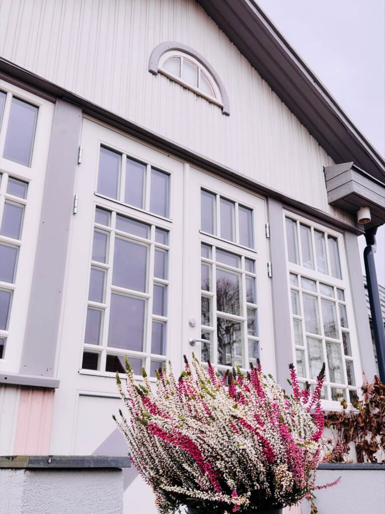 jaanimardi puhketalu veranda kanarbikuga