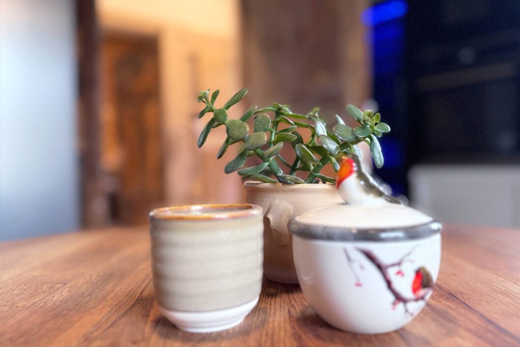 leevikesega suhkrutoos köögi laual